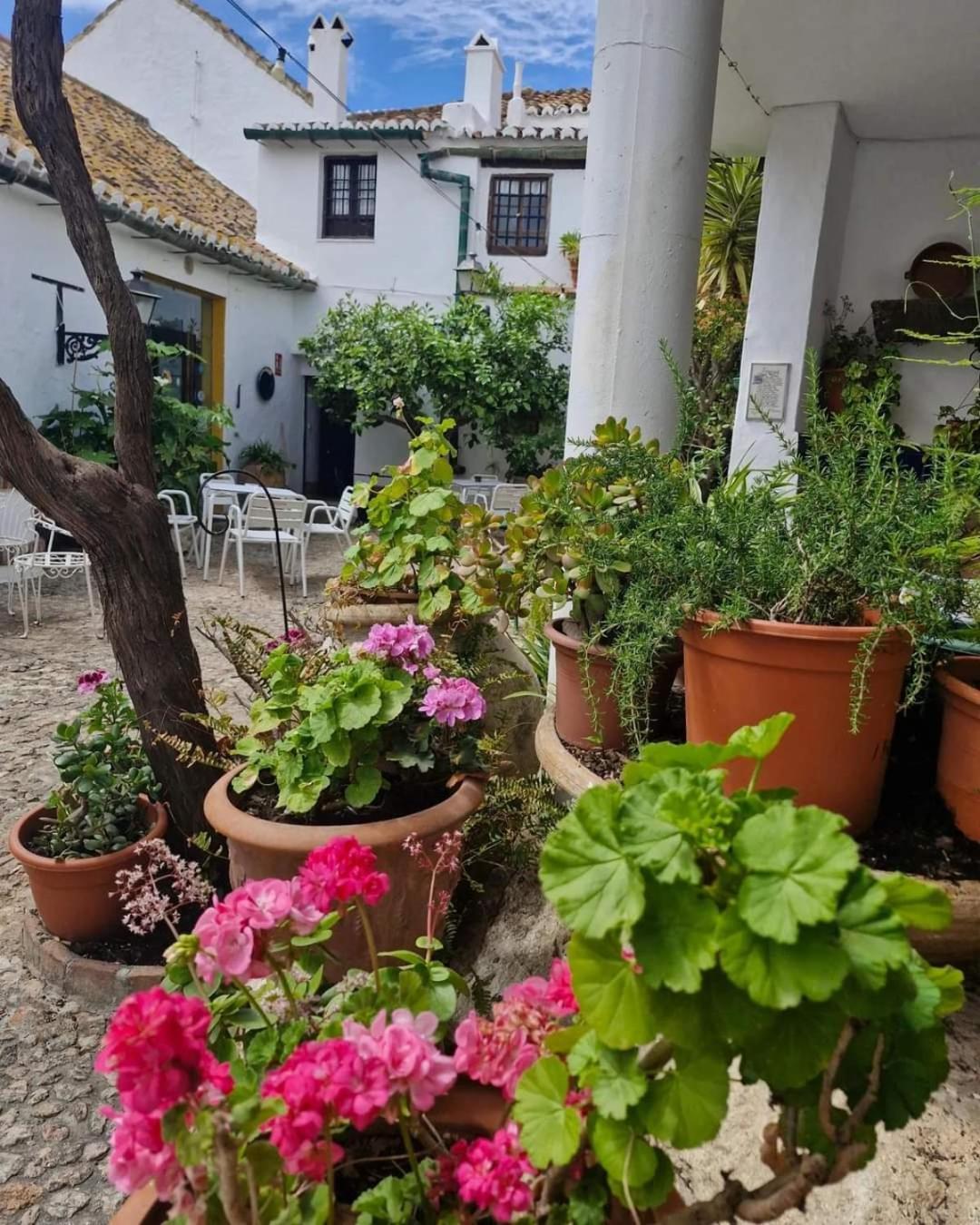 Hotel Rural Verde Oliva Comares Buitenkant foto