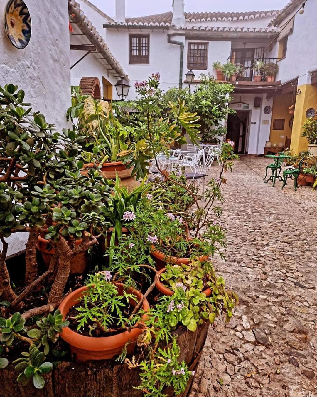 Hotel Rural Verde Oliva Comares Buitenkant foto